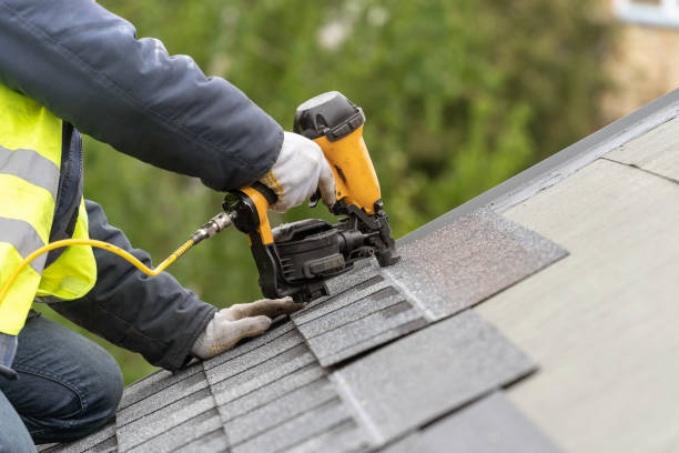  Plains, MT Roofing services Pros