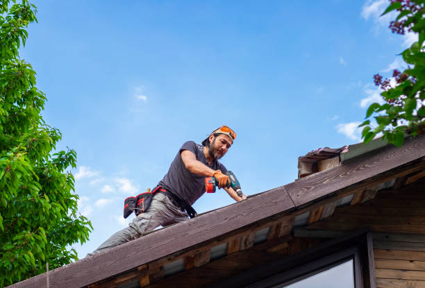 Best 4 Ply Roofing  in Plains, MT