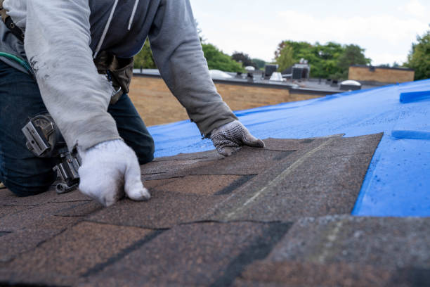 Sheet Metal Roofing in Plains, MT