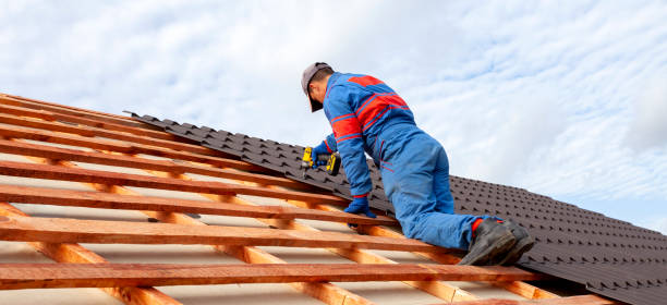 Best Roof Moss and Algae Removal  in Plains, MT