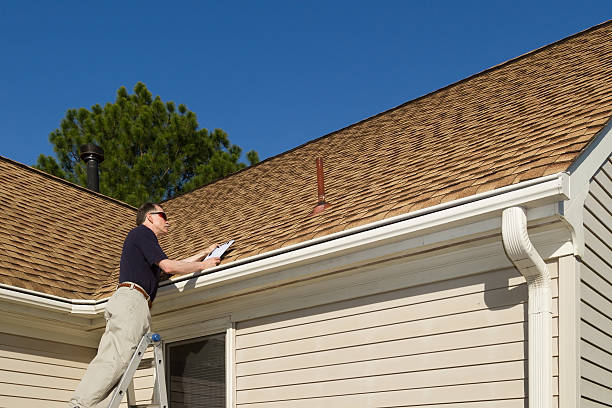 Best Roof Moss and Algae Removal  in Plains, MT